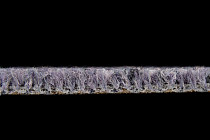 Desso Grezzo Vivid ad 05 3913 B8 фото 6 | FLOORDEALER